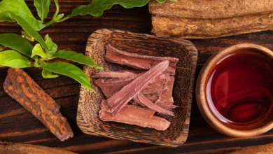 Tepezcohuite: The Miracle Bark for Skin Regeneration and Healing