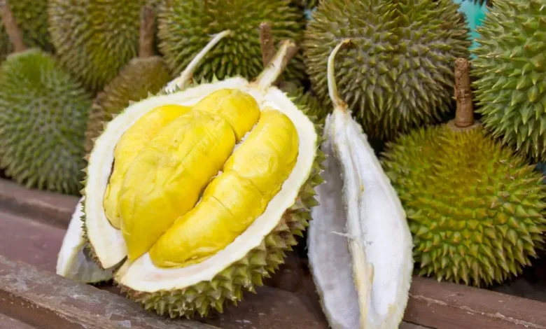Discover the Divisive Delight of Durian Fruit