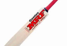 Cricket Bat