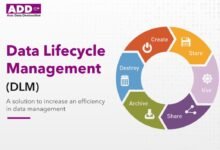 Understanding the 20ab028a0ayyang0 Lifecycle Status: A Complete Guide