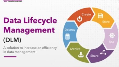 Understanding the 20ab028a0ayyang0 Lifecycle Status: A Complete Guide