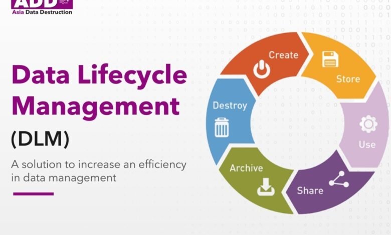 Understanding the 20ab028a0ayyang0 Lifecycle Status: A Complete Guide