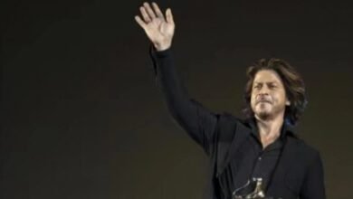 "Honored With Lifetime: The Quiet Power of a Lifetime Distinction"