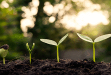 The Urgency of Sustainability: Why Ignoring It Is No Longer an Option
