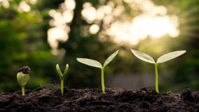The Urgency of Sustainability: Why Ignoring It Is No Longer an Option