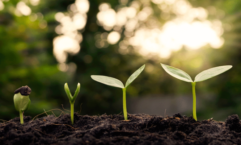 The Urgency of Sustainability: Why Ignoring It Is No Longer an Option