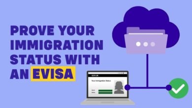 Understanding Immigration Status: Key Insights for Individuals and Families