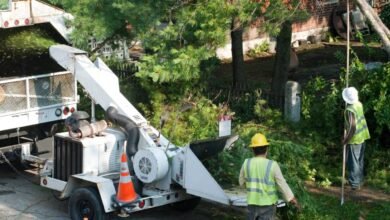 Montgomery Canopy Care: Expert Tree Service That Protects Your Property